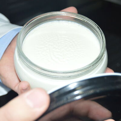 Yoğurt nasıl mayalanıyor?