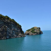 Hoynat Adası kuşlarıyla ilgi çekiyor