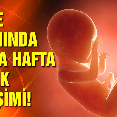 Anne karnında hafta hafta bebek gelişimi