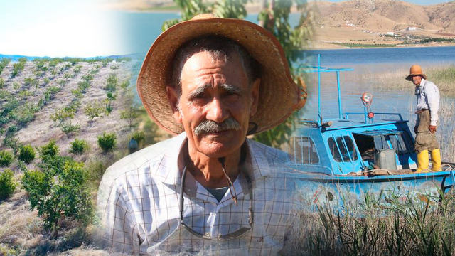 Tuncelili Robinson Crusoe! 14 yıldır adada tek başına yaşıyor