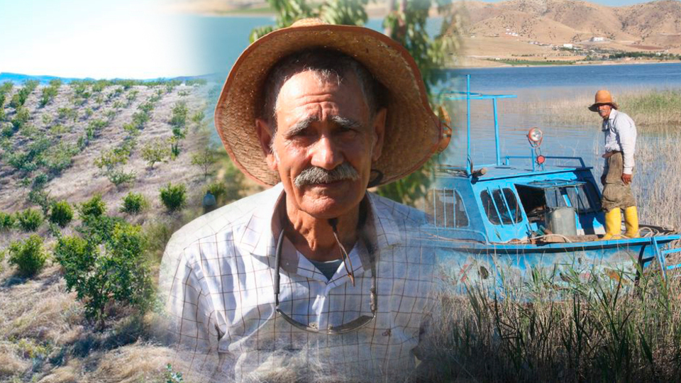 Tuncelili Robinson Crusoe! 14 yıldır adada tek başına yaşıyor