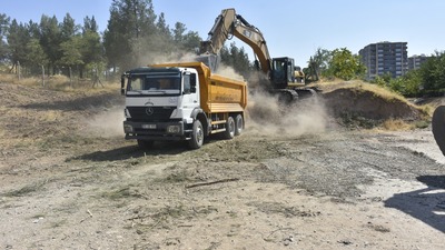 Belediyeden ağaç katliamı