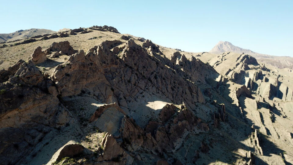 Testereyi andırıyor! İşte nedeni...