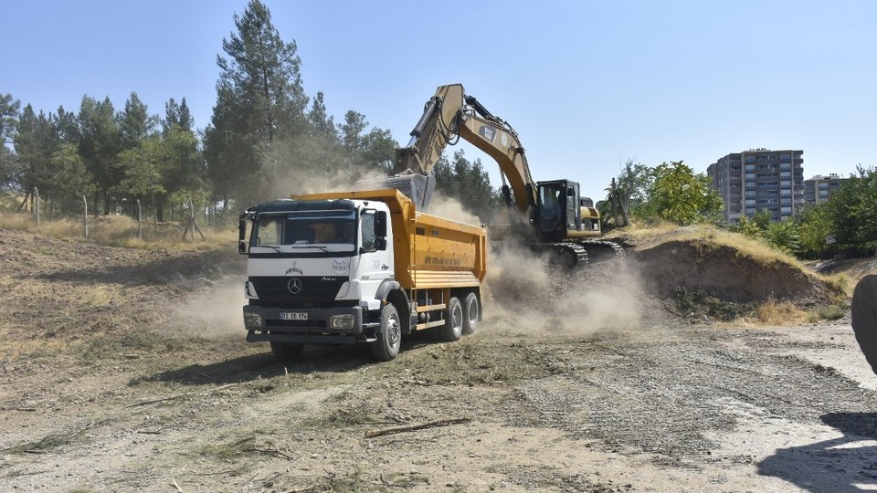 Belediyeden kesilen ağaçlarla ilgili açıklama
