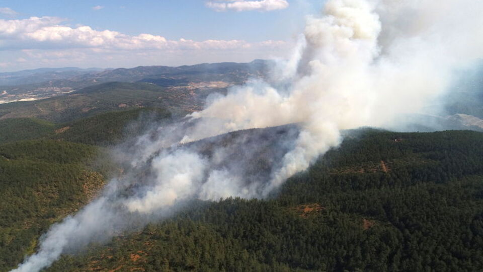 Bursa'da 6 farklı noktada yangın