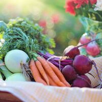 Akdeniz diyeti dediğin...