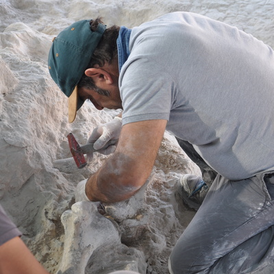 Konut kazısında ortaya çıktı