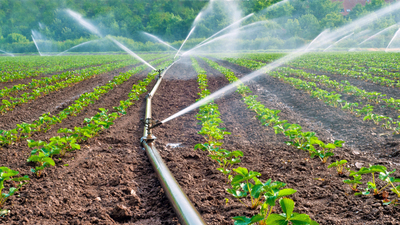Toros Tarım'dan Romanya'da yatırım!