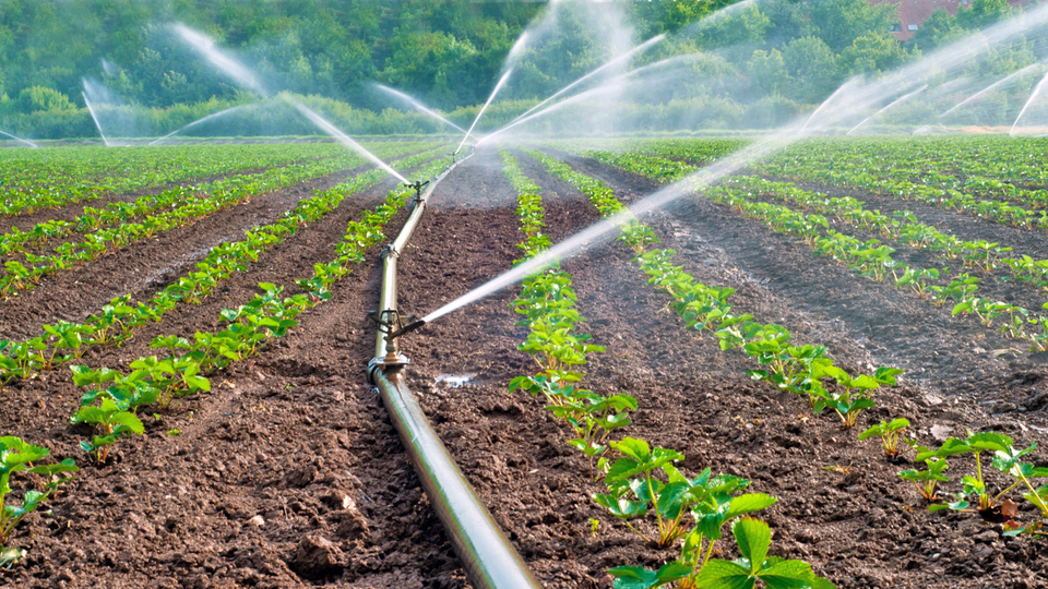 Toros Tarım'dan Romanya'da yatırım!