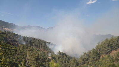 Yıldırım orman yangınına yol açtı