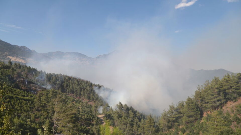 Yıldırım orman yangınına yol açtı