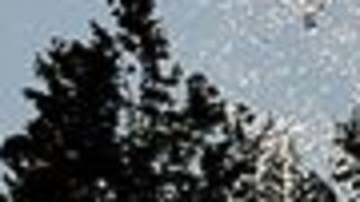 Temmuz 2019 kayıtlara geçen en sıcak ay oldu