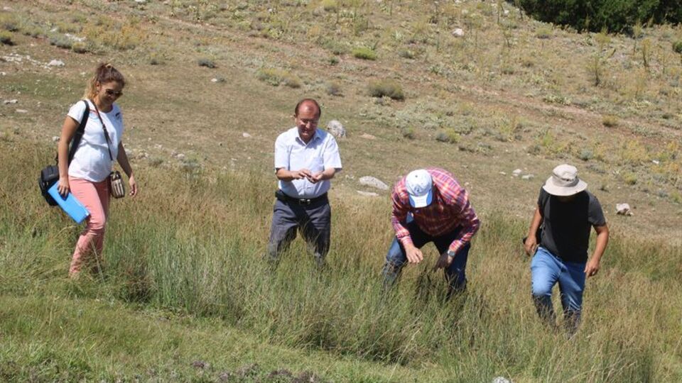 Dünyada sadece o ilimizde yaşıyor ama...