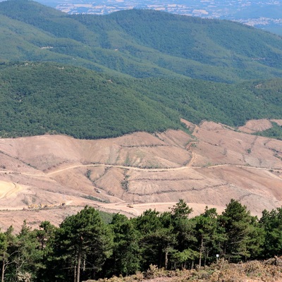 Alamos Gold'dan Kaz Dağları açıklaması