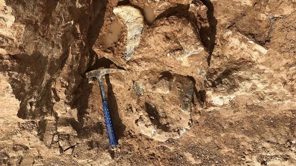 İşte dünyanın en büyüğü