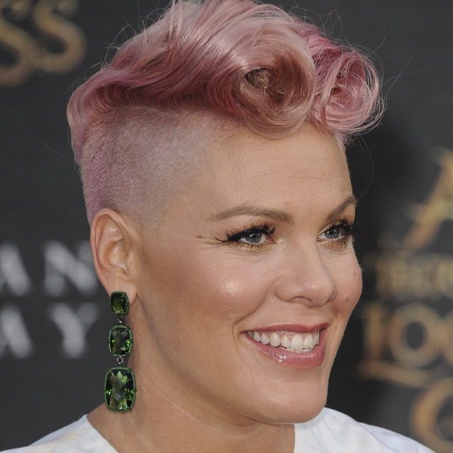 ABD'li şarkıcı Pink'in özel jeti yandı