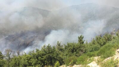 Muğla'da orman yangını