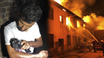 Alevlerin içerisinde kalan güvercin kurtarıldı