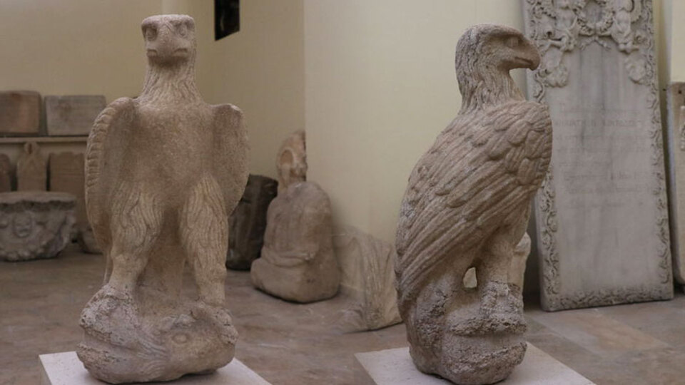 Niğde'de bulundu... Yetkiller harekete geçti!