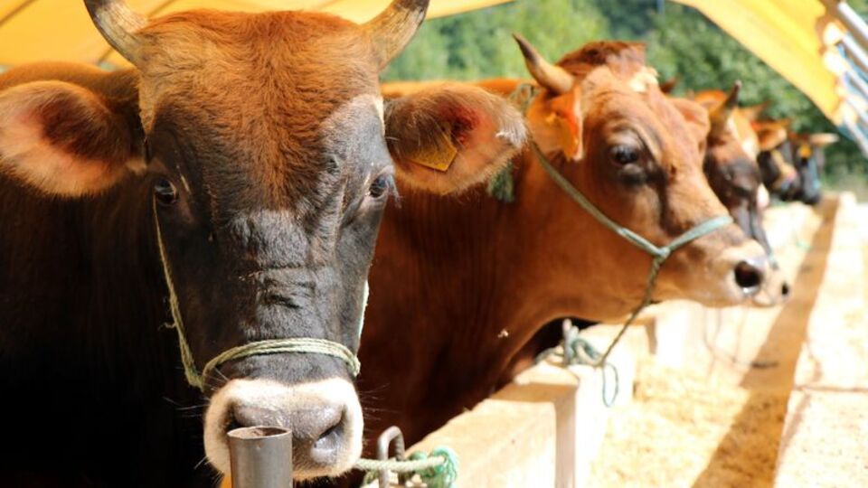 Bayramda hava nasıl olacak? Önemli açıklama