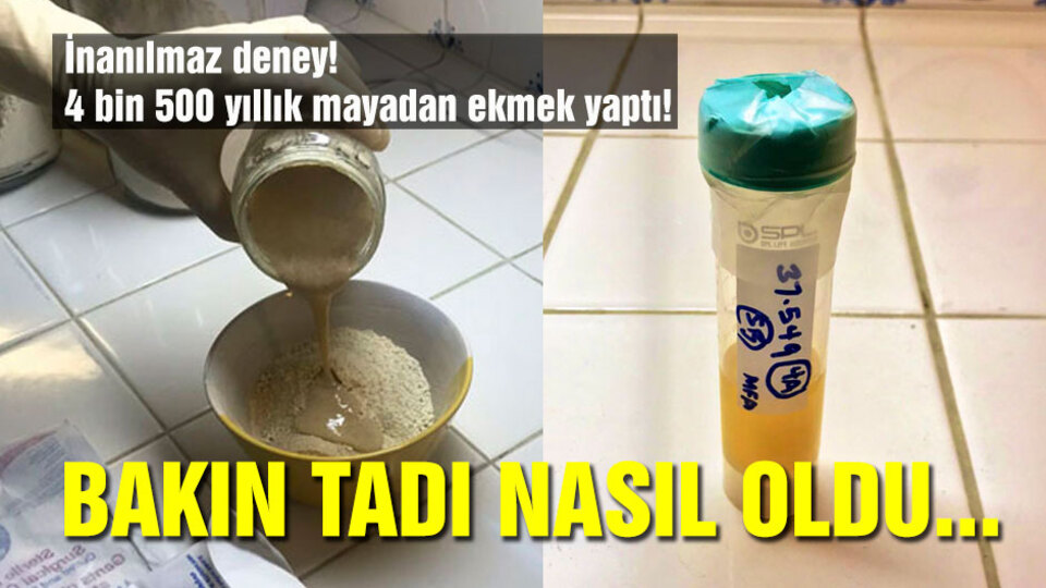 4 bin 500 yıllık mayadan ekmek yaptı!