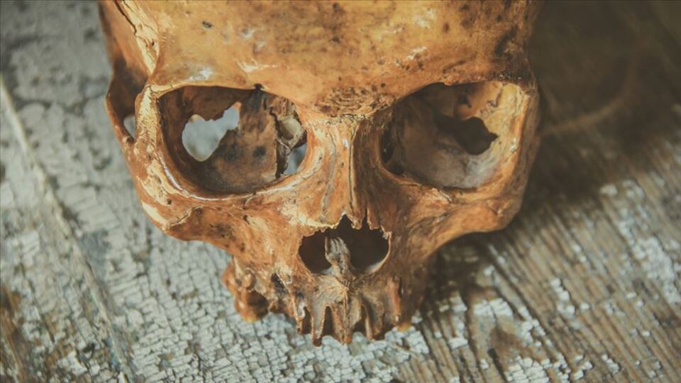 Saddam döneminde kaybolmuşlardı!