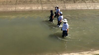 Çalışanını kurtarmak istedi! Kahreden arayış!