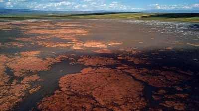 20 sene sonra korkutan görüntü!