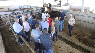 Kurban kesiminde bunlara dikkat!
