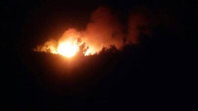 Gelibolu'da orman yangını!