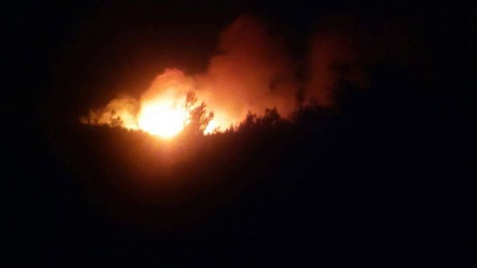 Gelibolu'da orman yangını!