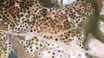 Ne olduğunu tahmin bile edemezsiniz!