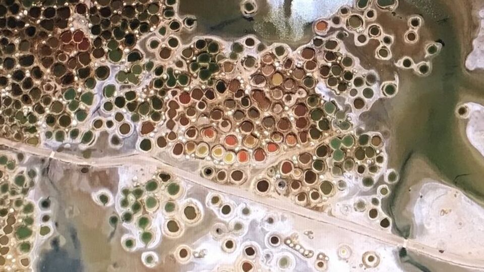 Ne olduğunu tahmin bile edemezsiniz!