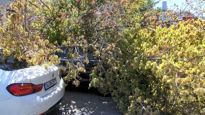 Şiddetli rüzgara dayanamadı