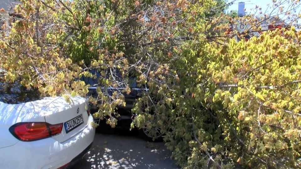 Şiddetli rüzgara dayanamadı