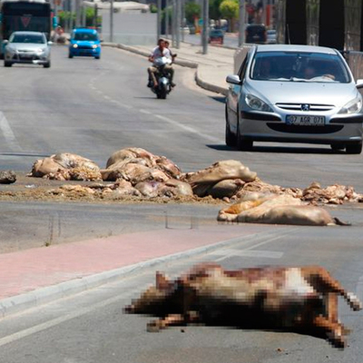 Burası turizmin başkenti!