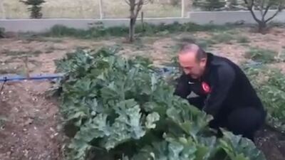 Çavuşoğlu hasat için bahçeye girdi
