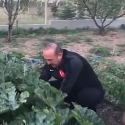 Çavuşoğlu hasat için bahçeye girdi