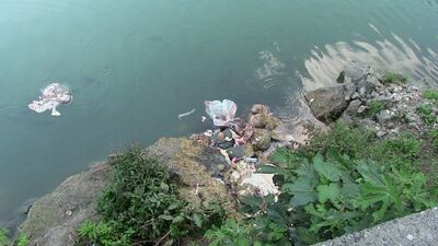 Baraj gölü hayvan organlarıyla doldu