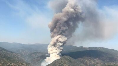 Korkutan yangın kontrol altında!