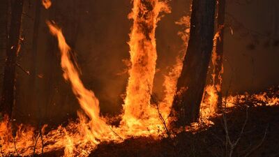 Eskişehir'de yangın! Söndürme çalışmaları sürüyor