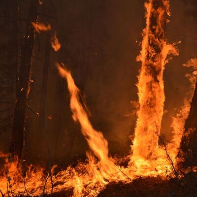 Eskişehir'de yangın! Söndürme çalışmaları sürüyor