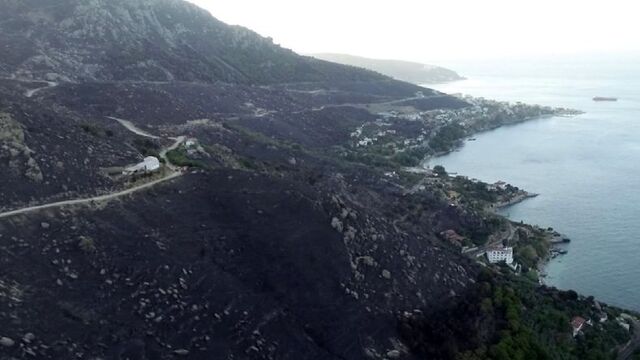 Marmara Adası'nda çıkan orman yangını ile ilgili yeni gelişme