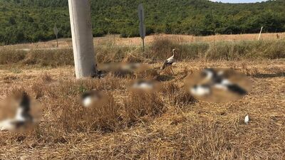 Göç yolunda toplu ölüm şoku!