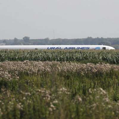 Kuş sürüsüne çarptı mısır tarlasına indi! 23 yaralı