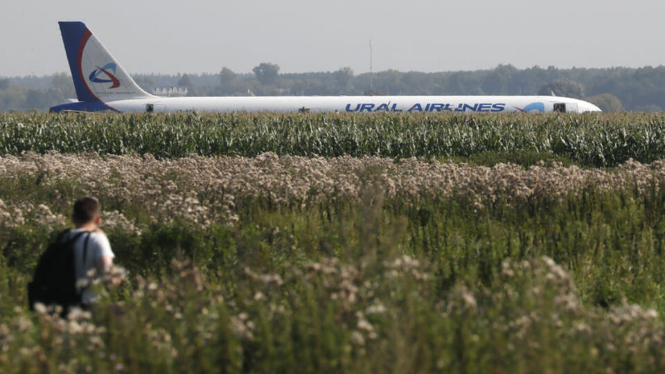 Kuş sürüsüne çarptı mısır tarlasına indi! 23 yaralı