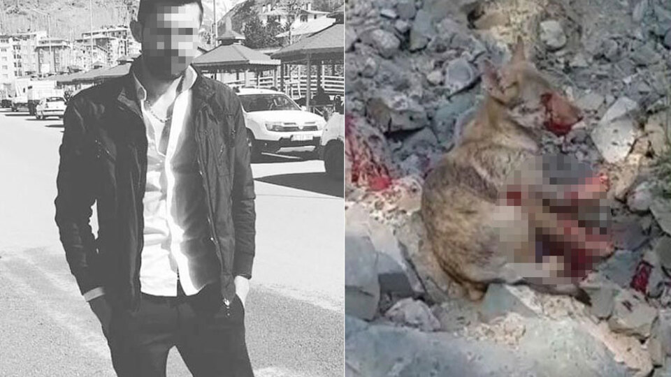 Kurt yavrusuna yaptığı işkenceyi paylaştı