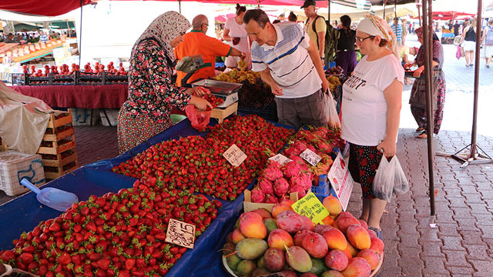 Tanesi 35 liradan satılıyor