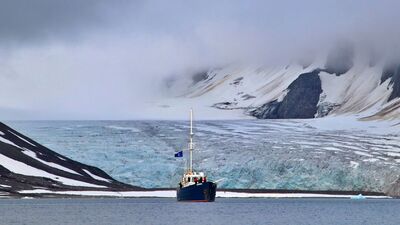 Bu kadarına pes! Antarktika kıyılarında bulundu!