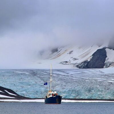 Bu kadarına pes! Antarktika kıyılarında bulundu!